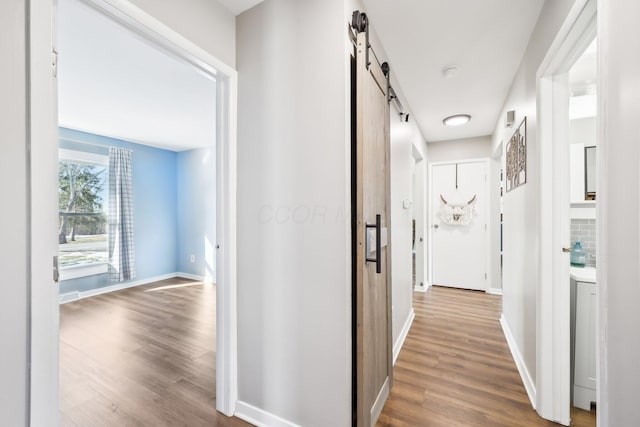 corridor featuring wood-type flooring and a barn door