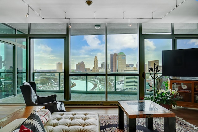 living room featuring hardwood / wood-style flooring, floor to ceiling windows, and a wealth of natural light