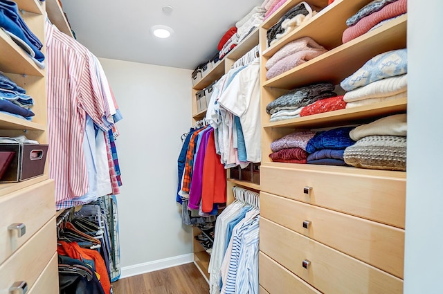 spacious closet with hardwood / wood-style floors