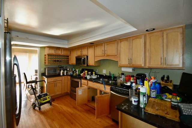 kitchen featuring appliances with stainless steel finishes, a raised ceiling, sink, and light hardwood / wood-style flooring