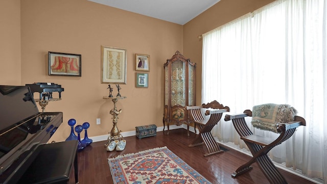 sitting room featuring hardwood / wood-style floors and a wealth of natural light