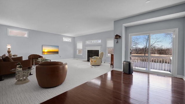 living room with hardwood / wood-style flooring