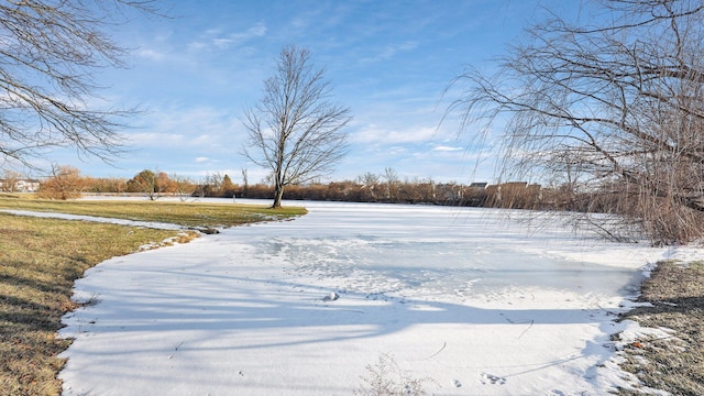 view of yard covered in snow