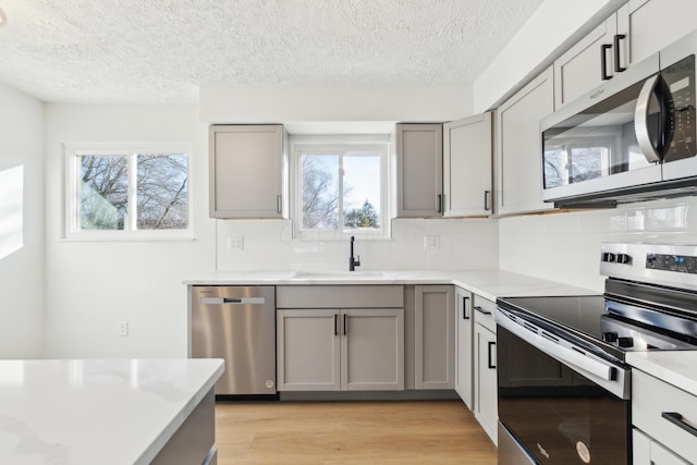 kitchen featuring appliances with stainless steel finishes, sink, gray cabinetry, and light wood-type flooring