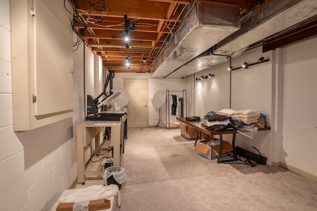 basement featuring light carpet