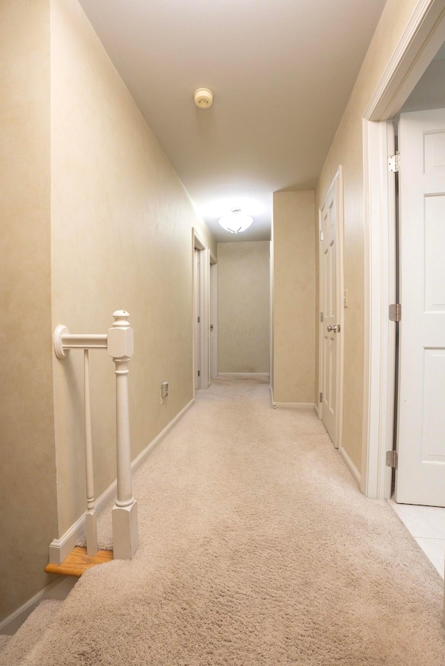 hallway with carpet flooring