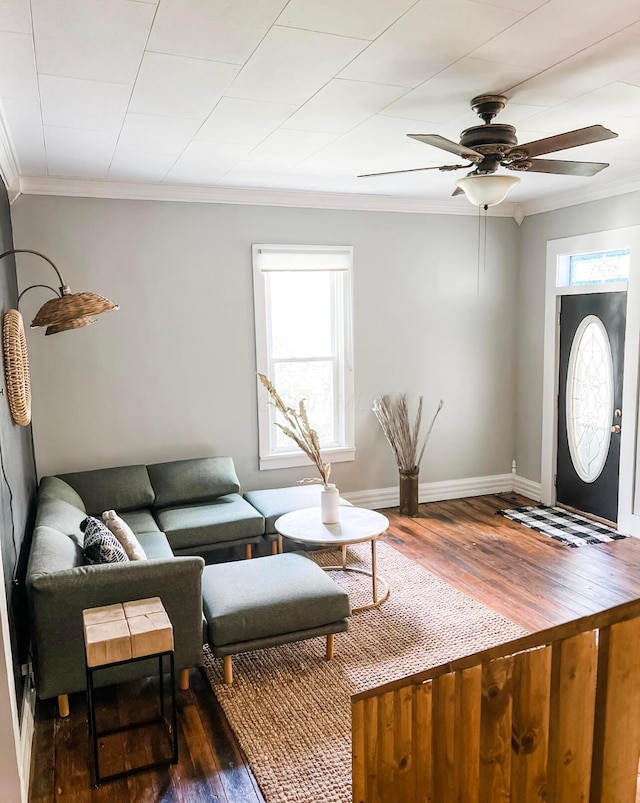 living room with crown molding, ceiling fan, and hardwood / wood-style flooring