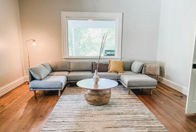 living room with hardwood / wood-style floors