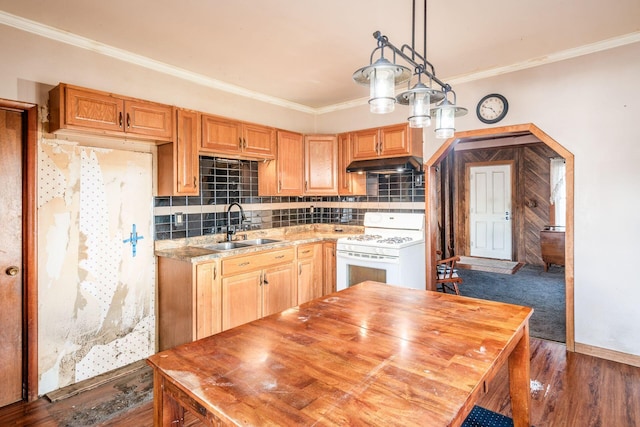 kitchen with pendant lighting, white gas range, tasteful backsplash, and sink