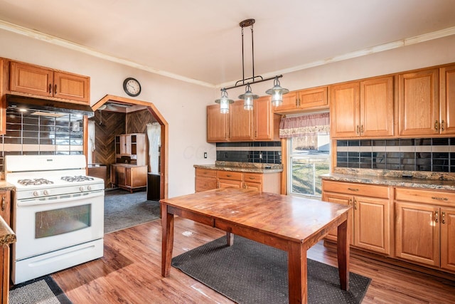 kitchen with decorative light fixtures, white gas range, decorative backsplash, crown molding, and custom range hood