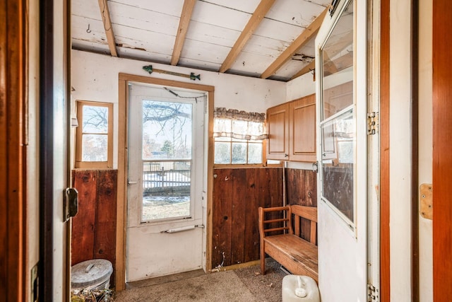 entryway with plenty of natural light