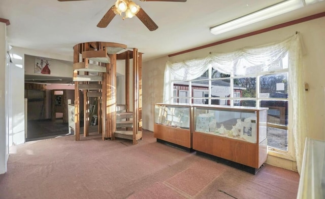 interior space featuring carpet floors and ceiling fan