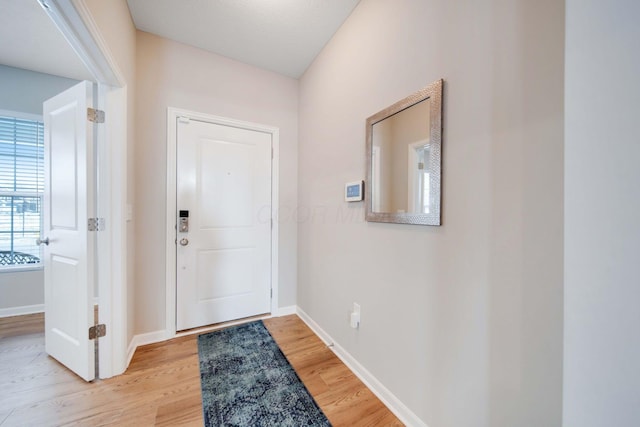 entrance foyer with light hardwood / wood-style flooring