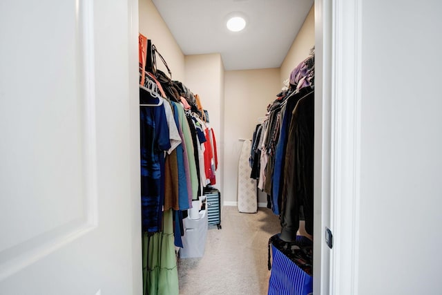 view of walk in closet