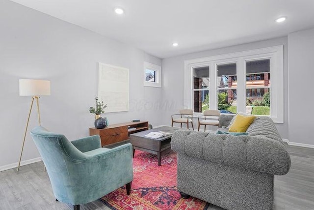 living room with hardwood / wood-style flooring