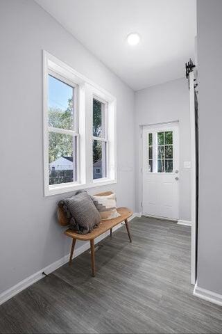 sitting room with plenty of natural light and dark hardwood / wood-style floors