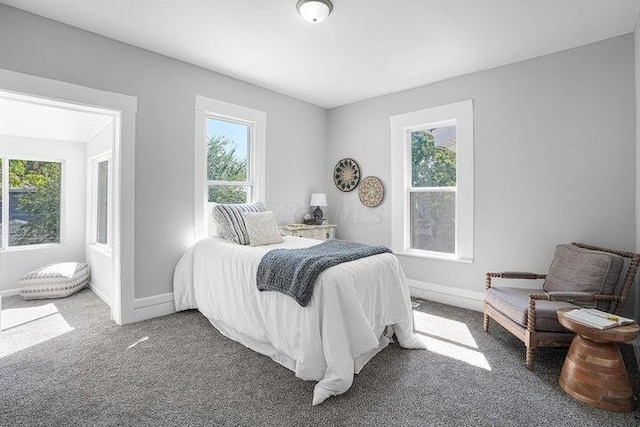 carpeted bedroom with multiple windows