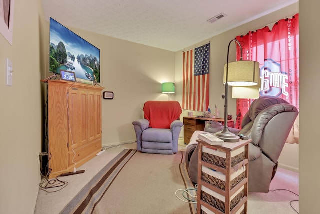 sitting room with carpet