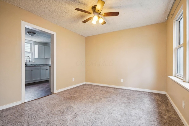 unfurnished room featuring ceiling fan, carpet flooring, sink, and a textured ceiling