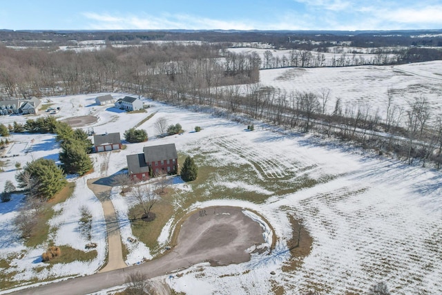 view of snowy aerial view