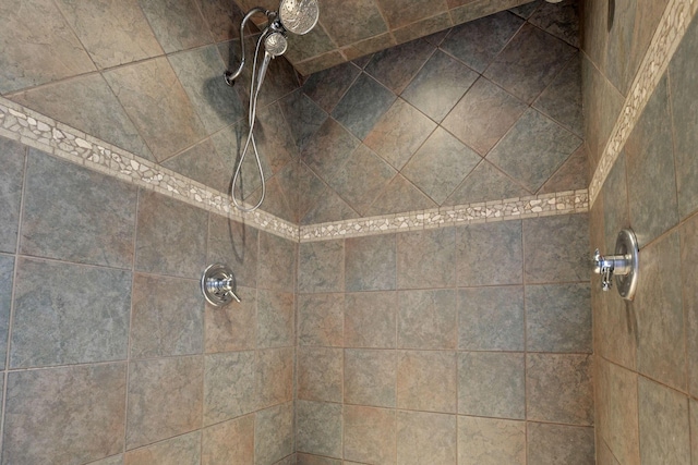 interior details with tiled shower