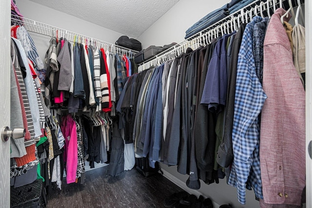 walk in closet with hardwood / wood-style floors