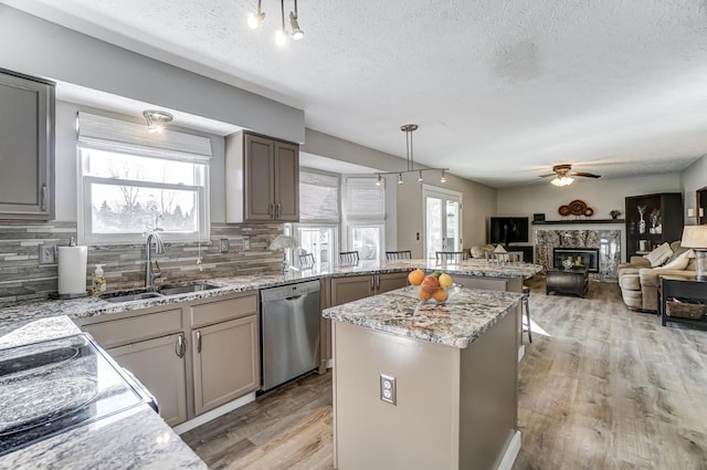 kitchen with sink, a premium fireplace, dishwasher, a kitchen island, and light wood-type flooring