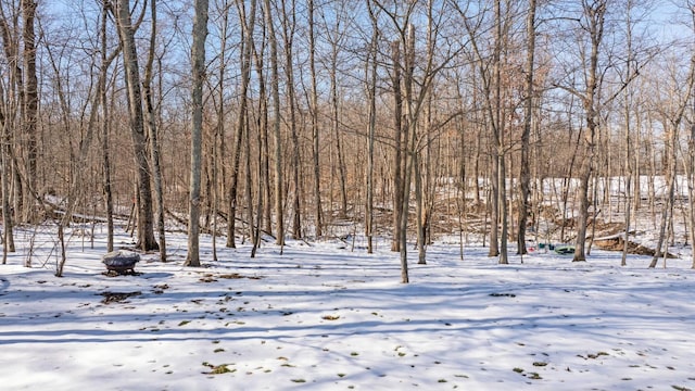 view of yard layered in snow