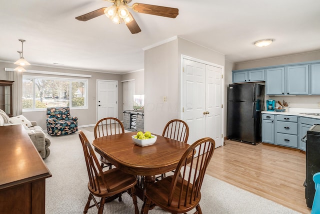 dining area featuring ceiling fan, ornamental molding, sink, and light wood-type flooring