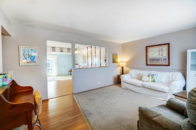 living room with wood-type flooring