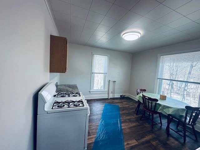 kitchen featuring dark hardwood / wood-style flooring and white gas stove