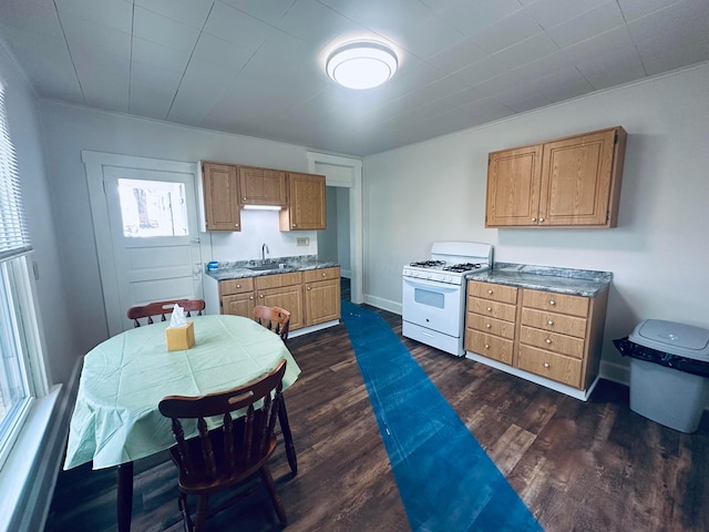 kitchen featuring dark wood-type flooring, sink, and white range with gas stovetop