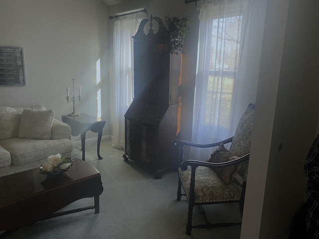 view of carpeted living room