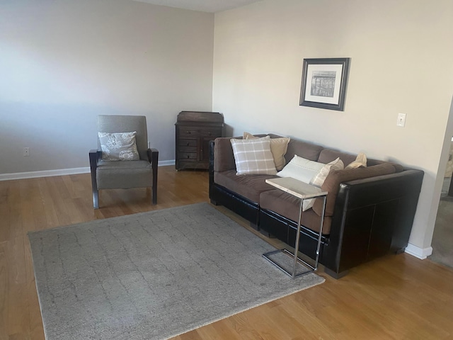 living room featuring wood-type flooring