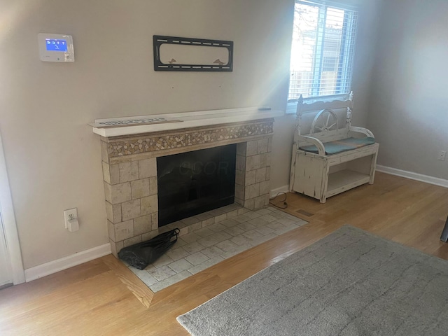 interior details with wood-type flooring and a fireplace