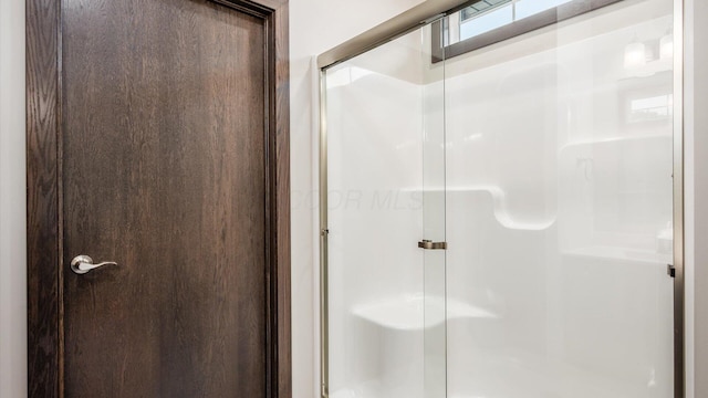 bathroom featuring a shower with shower door