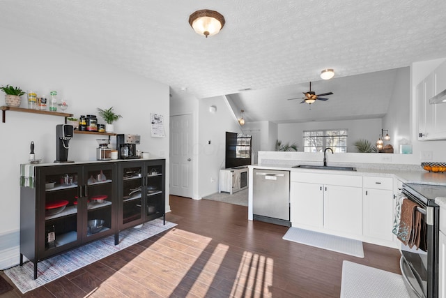 kitchen featuring lofted ceiling, sink, appliances with stainless steel finishes, white cabinetry, and dark hardwood / wood-style flooring