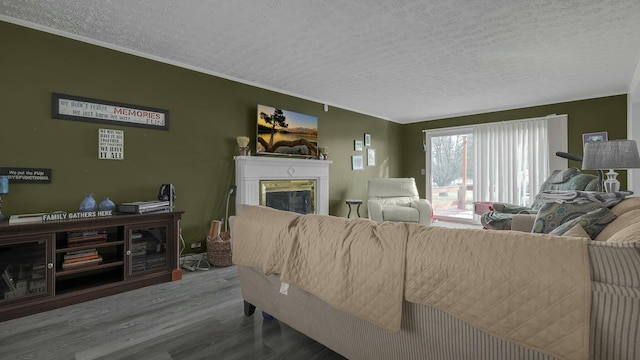 living room featuring wood-type flooring and a textured ceiling