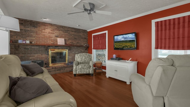 living room featuring crown molding, a fireplace, dark hardwood / wood-style floors, and a textured ceiling