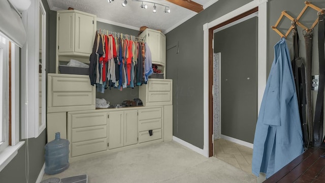 spacious closet featuring light carpet