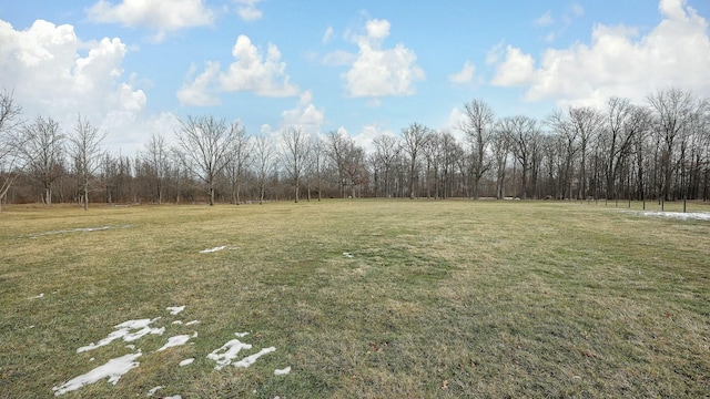 view of yard with a rural view