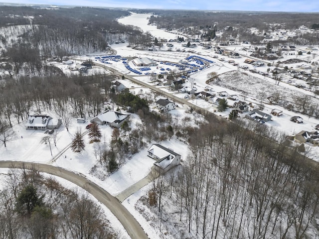 view of snowy aerial view