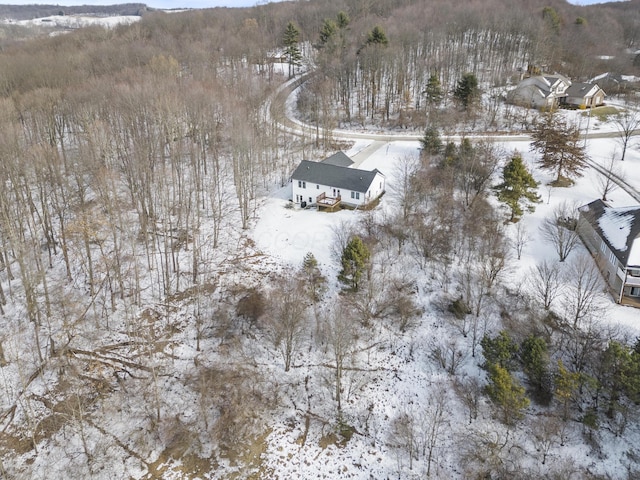 view of snowy aerial view