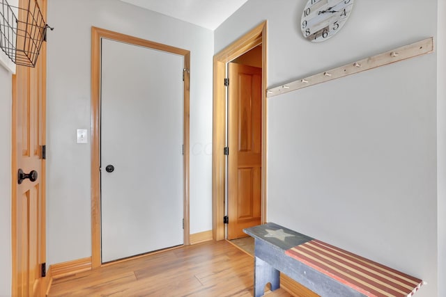 interior space with light wood-type flooring