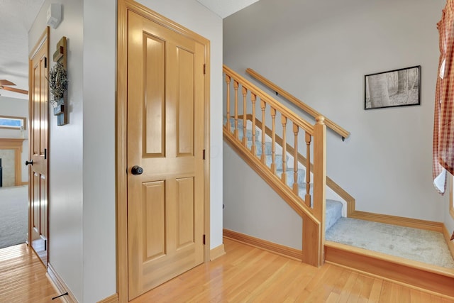 stairs with hardwood / wood-style floors