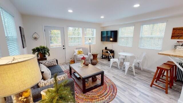 living room with light hardwood / wood-style floors