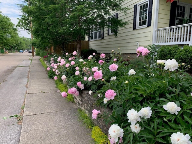 view of home's exterior