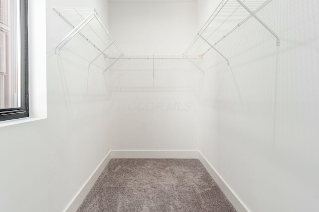 spacious closet with carpet floors