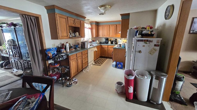 kitchen with sink, a textured ceiling, and white appliances