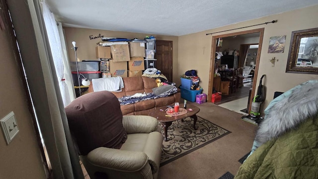 living room with a textured ceiling